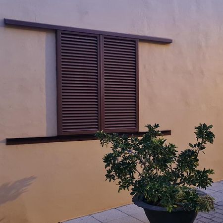 Vila Casa Mamatita Agüimes Exteriér fotografie